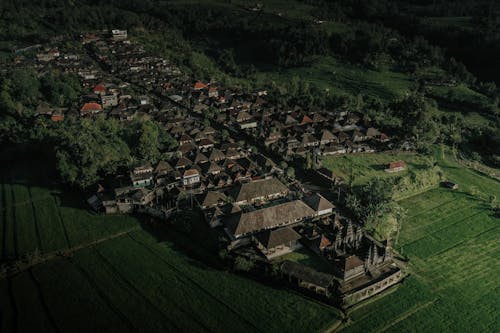 Aerial View of a Town Surrounded by Fields