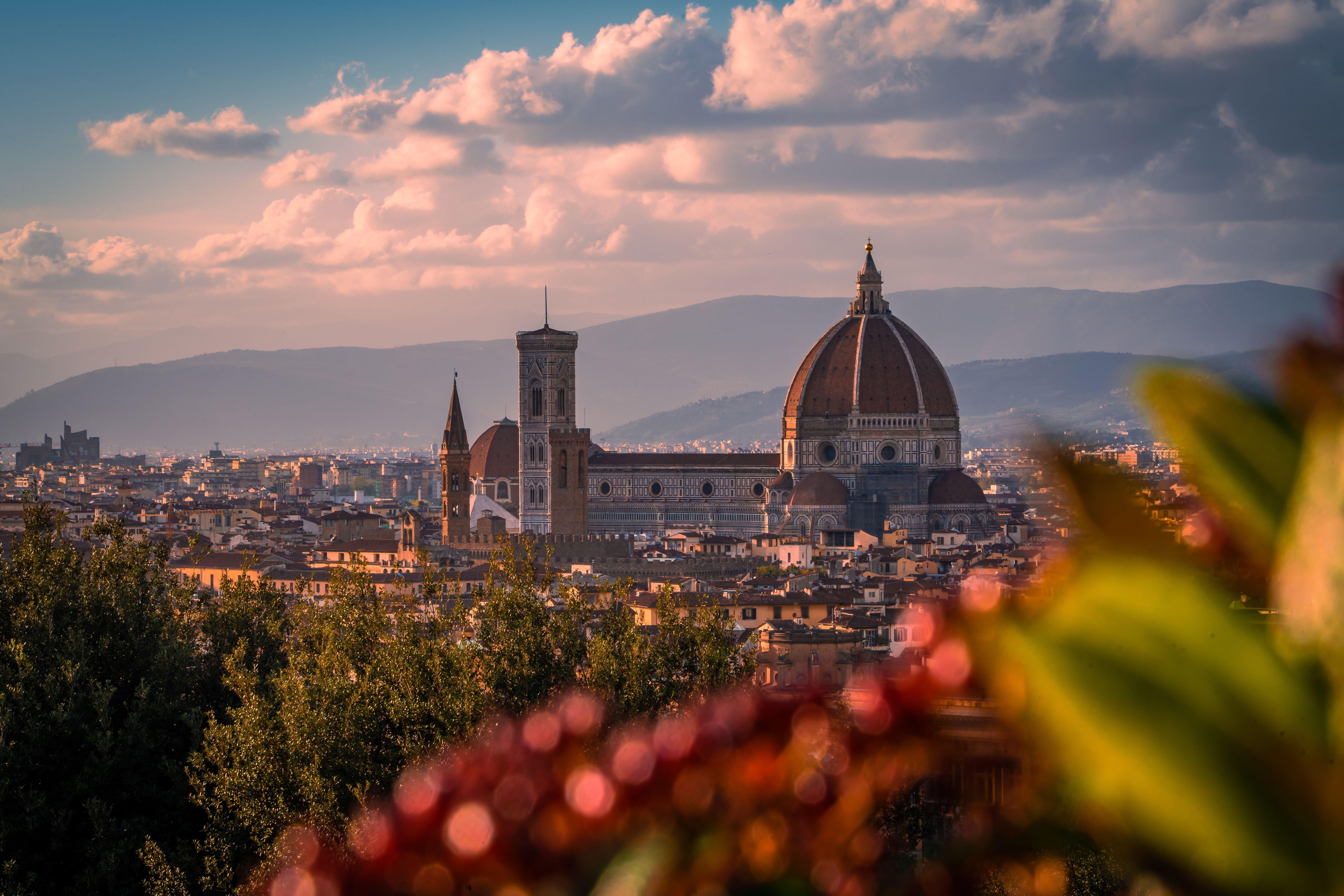 Proto Renaissance Photos, Download The BEST Free Proto Renaissance ...
