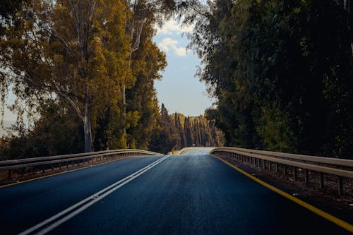 An Asphalt Road between Trees in Autumn 