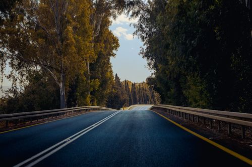 Free A tranquil road through colorful autumn trees, perfect for travel and exploration. Stock Photo