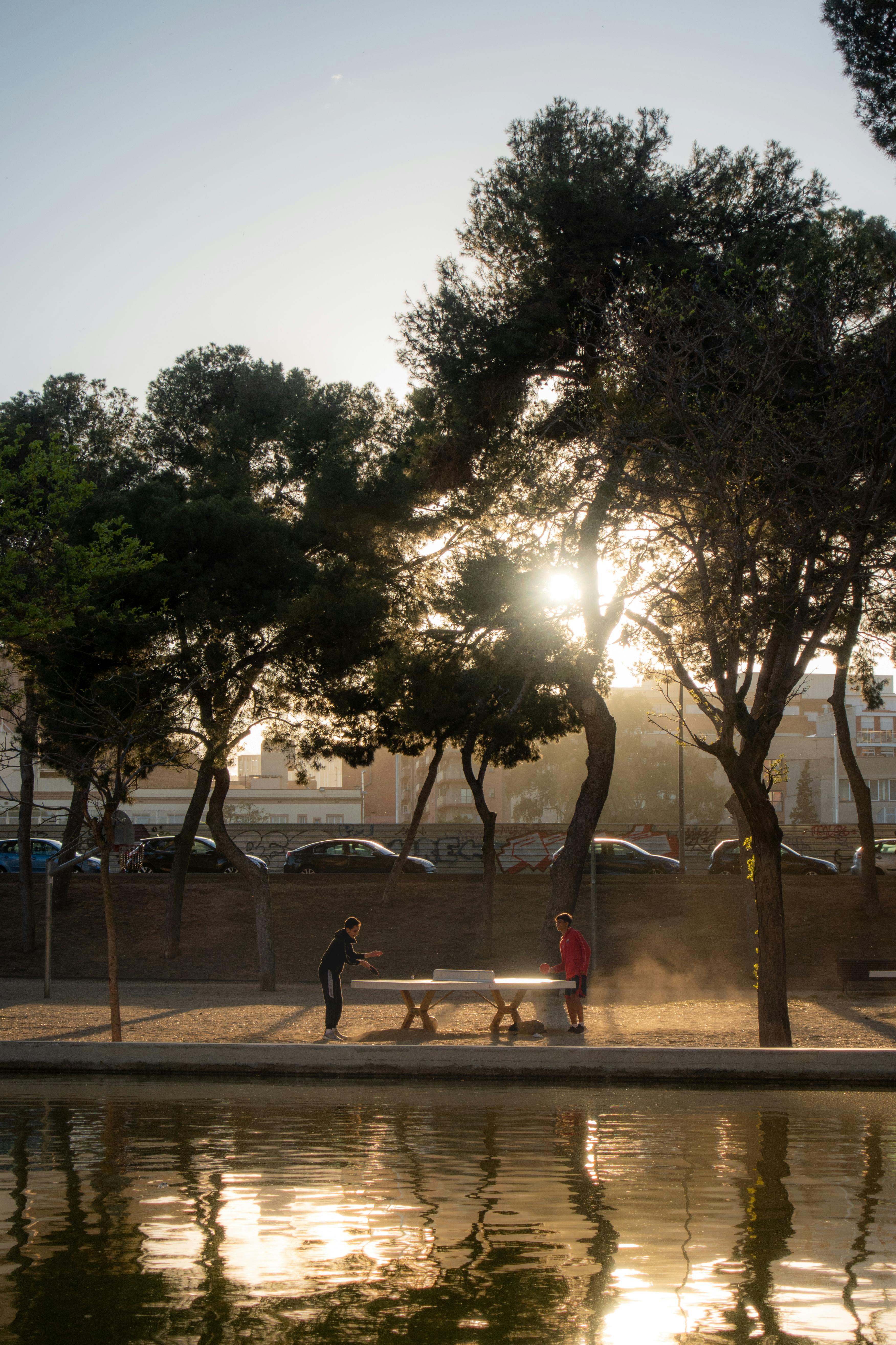 People playing ping pong in a sunlit park by the river. Relaxing summer day.