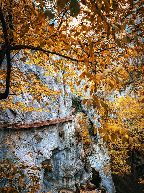 Kostenloses Stock Foto zu berg, brücke, canyon