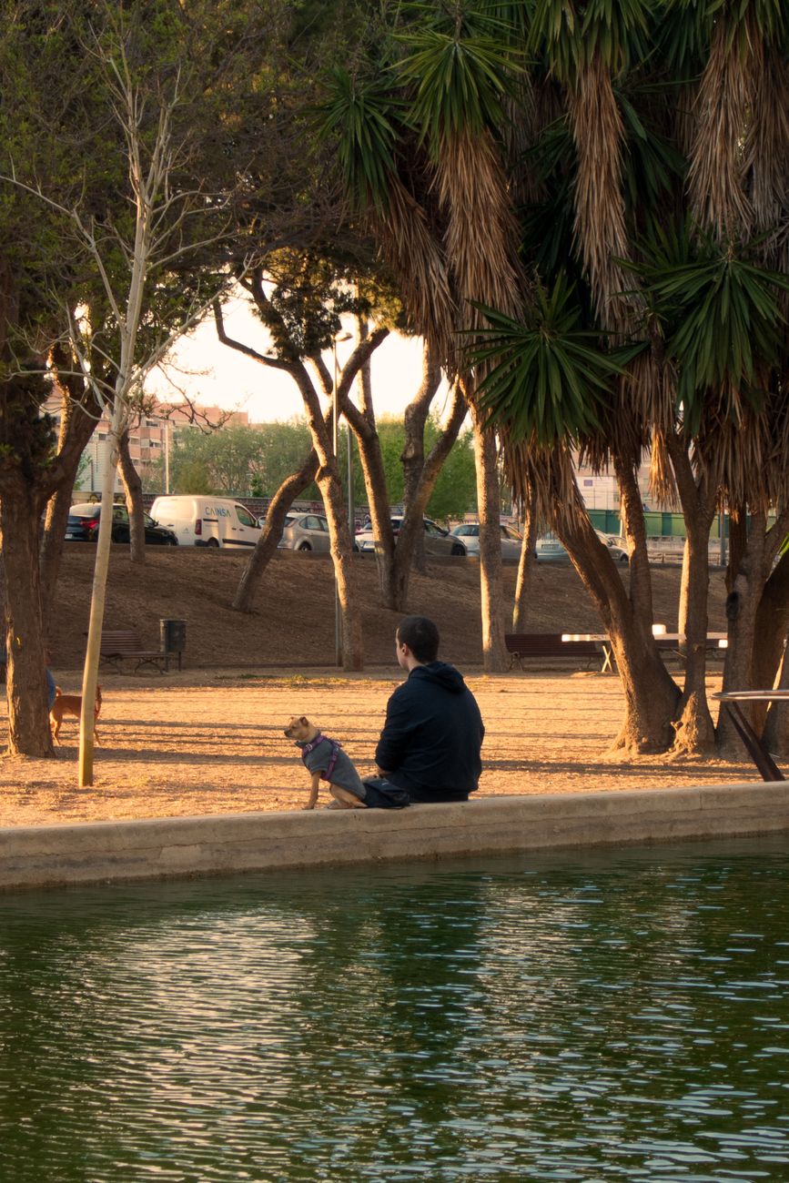 Il muro artistico di Ricardo Herok al Parco Cinofilo di Quarteira