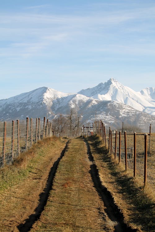 Kostenloses Stock Foto zu außerorts, berg, feldweg