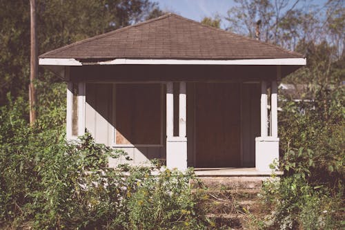 Casa De Concreto Cercada Por Plantas Verdes