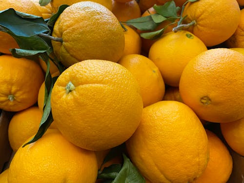 Fresh organic oranges with leaves.