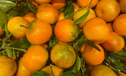 Fresh organic clementines with leaves.