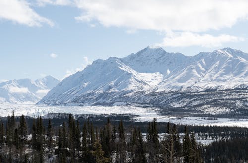 Immagine gratuita di alpino, esterno, gelido