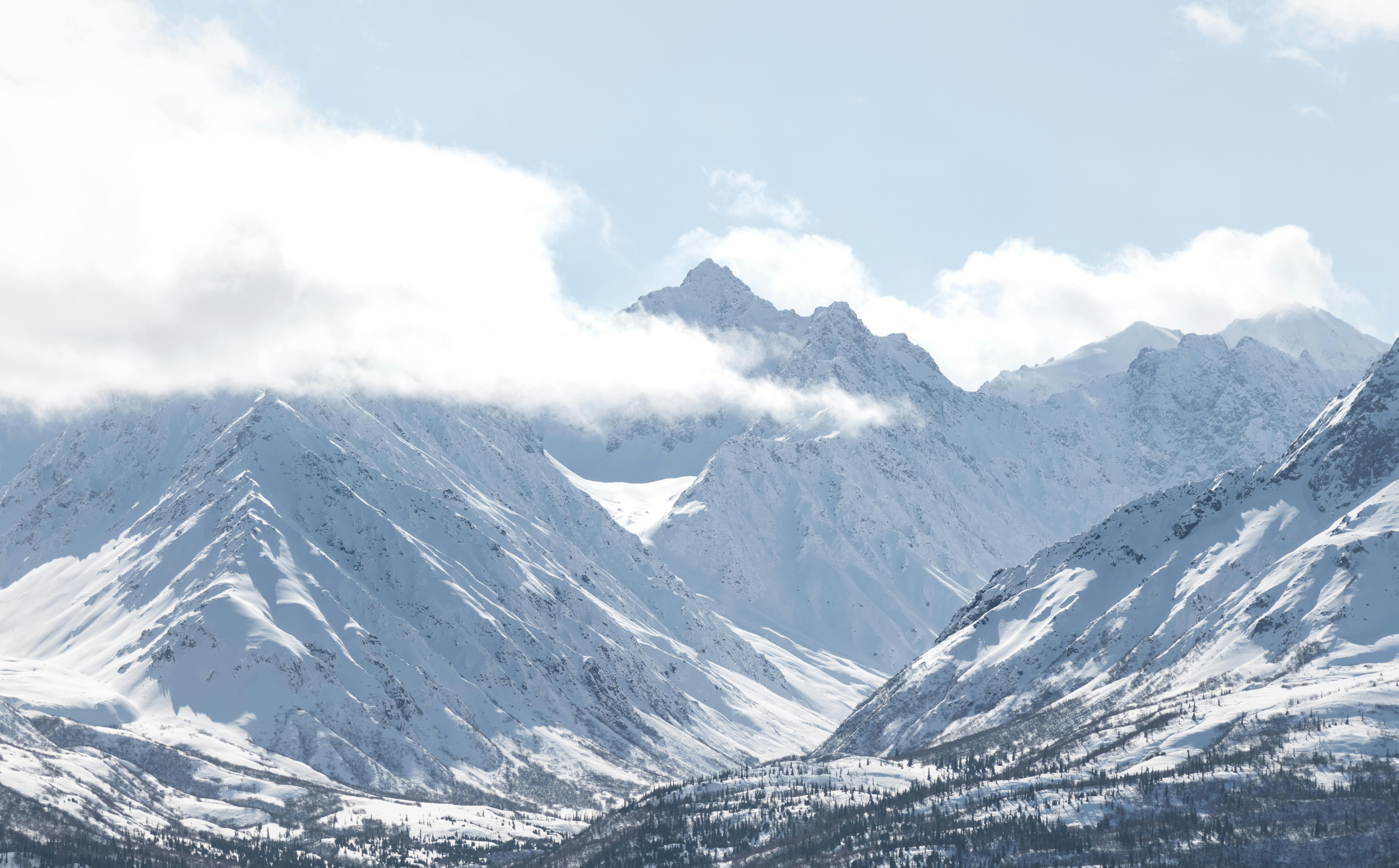 Alaska attorneys to provide free legal help on MLK Day holiday — Photo by John De Leon on Pexels