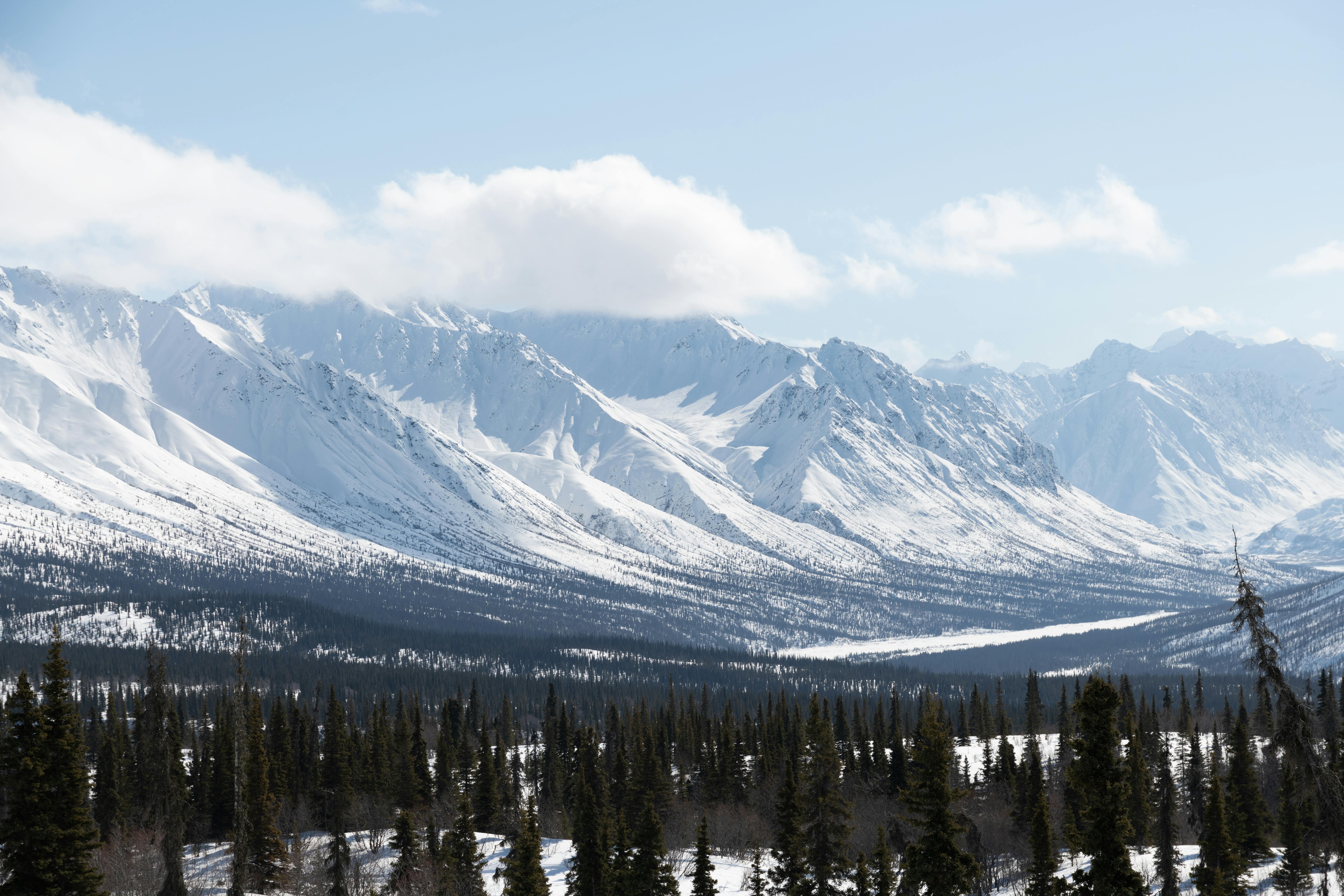 置物 WINTER MOUNTAINS Snowy Mountain Path in Winter Forest. Winter Mountain Landscape