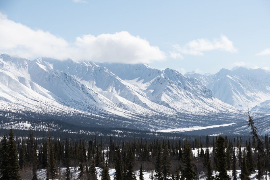 Helicopter to a Dogsledding Experience with a Glacier Landing - Breathtaking winter view of snow-capped mountains in Alaska, with lush trees in the foreground.