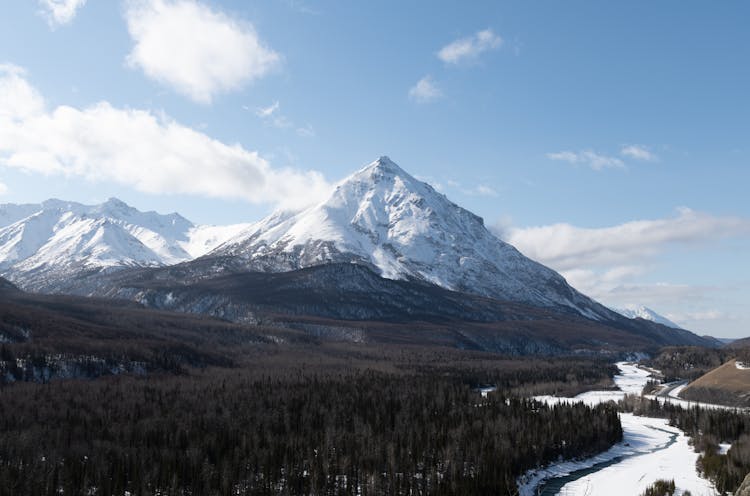 Mountains And Forest In Winter