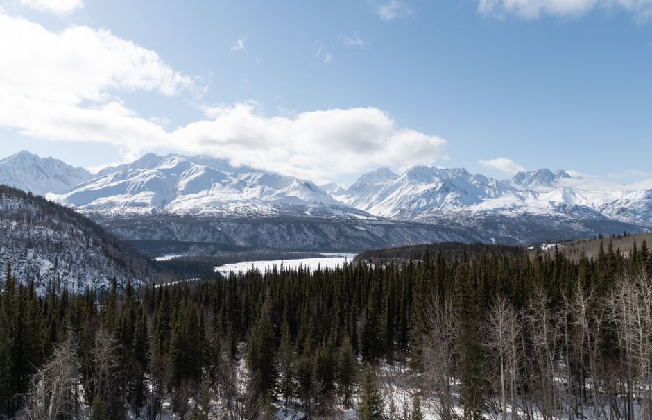 Majestic winter view of snow-covered Alaskan mountains and dense forest under clear blue sky.