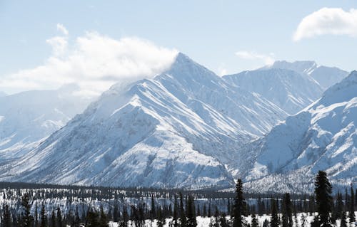 Immagine gratuita di alpino, esterno, gelo