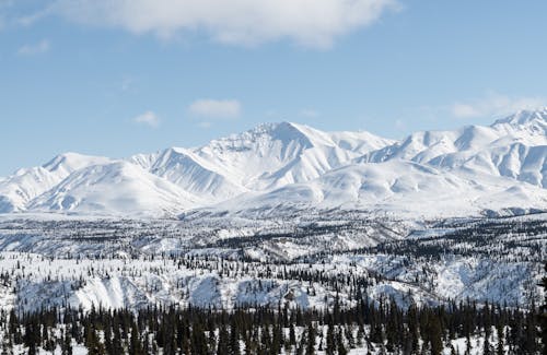 Immagine gratuita di alpino, esterno, gelo