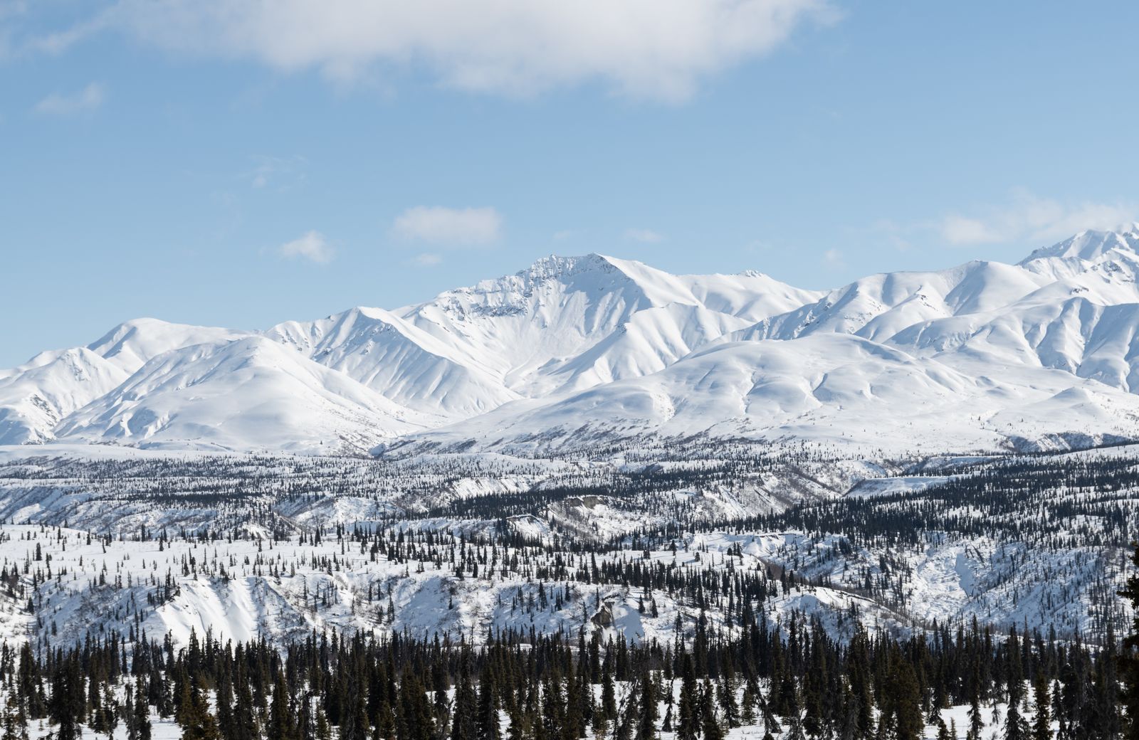 Snowy mountains in a wild Alaska winter landscape under a pale sky, shared by a Fairbanks home services and cleaning company