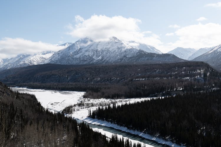 River, Forest And Mountain In Winter