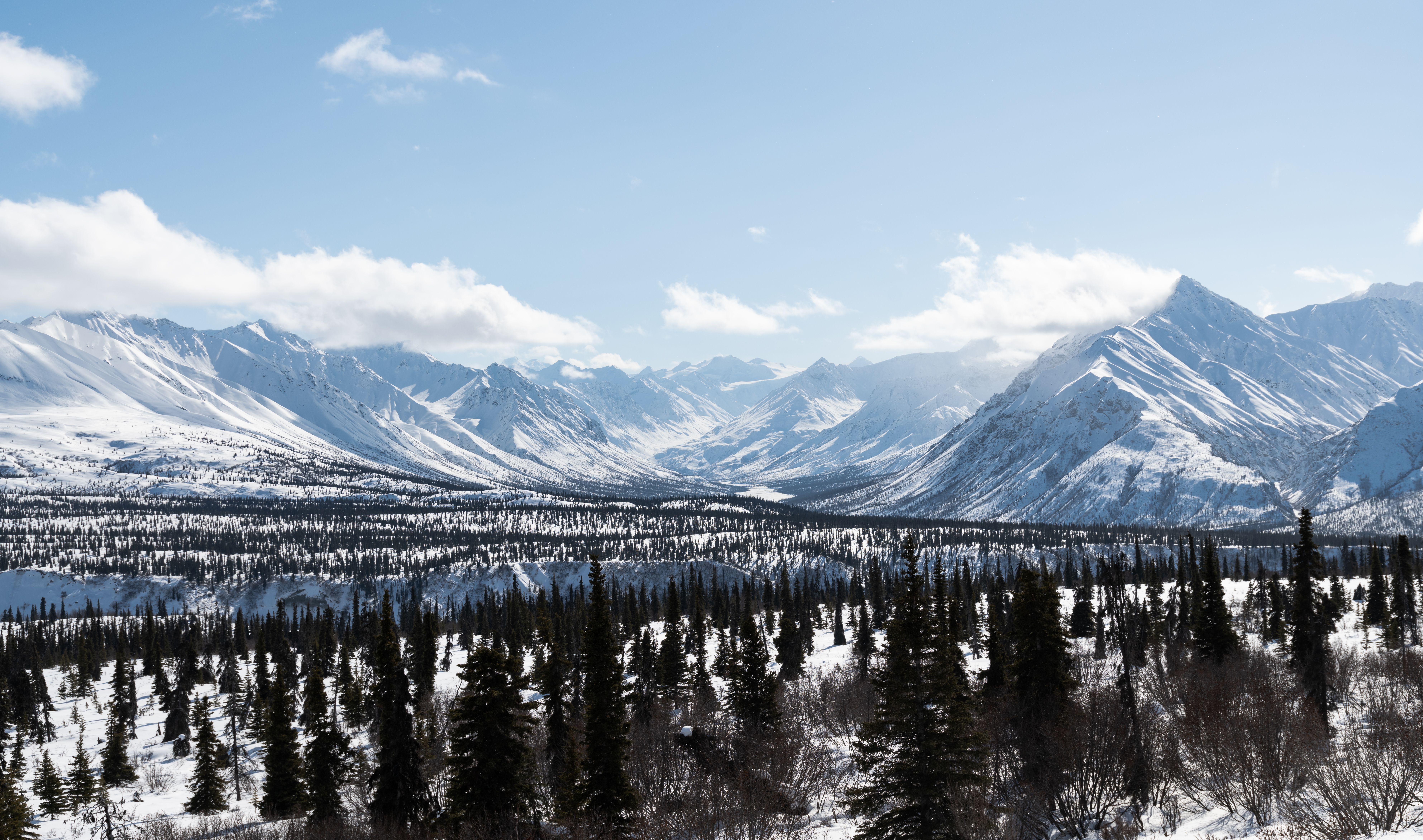 Unbeatable South Side Explorer with Glacier Landing Review: The Ultimate Denali Flightseeing Adventure Review 2026 - Expansive view of snow-capped mountains and forest in Alaska during winter.