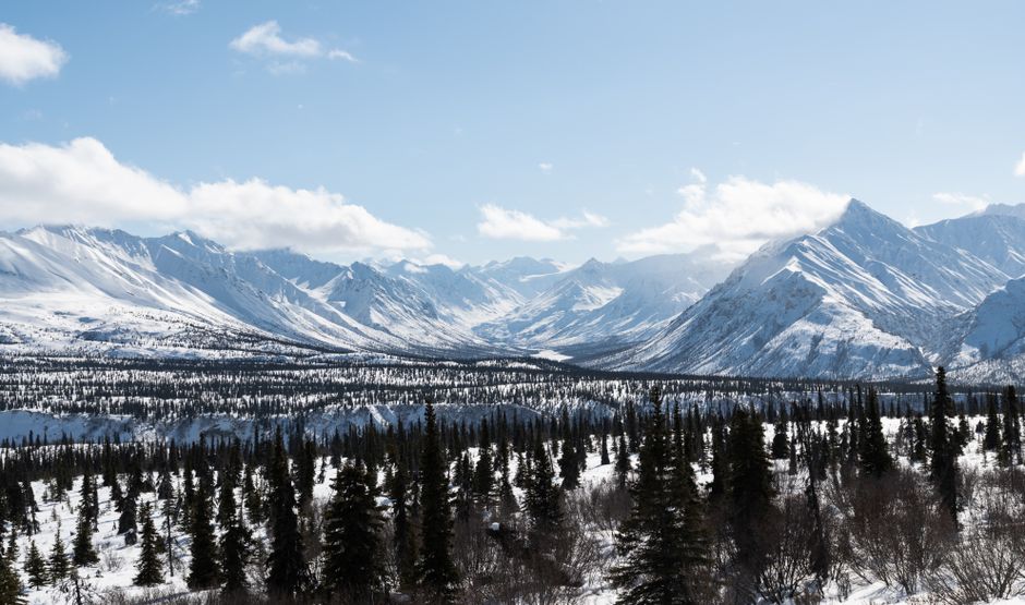 Unbeatable South Side Explorer with Glacier Landing Review: The Ultimate Denali Flightseeing Adventure Review 2026 - Expansive view of snow-capped mountains and forest in Alaska during winter.