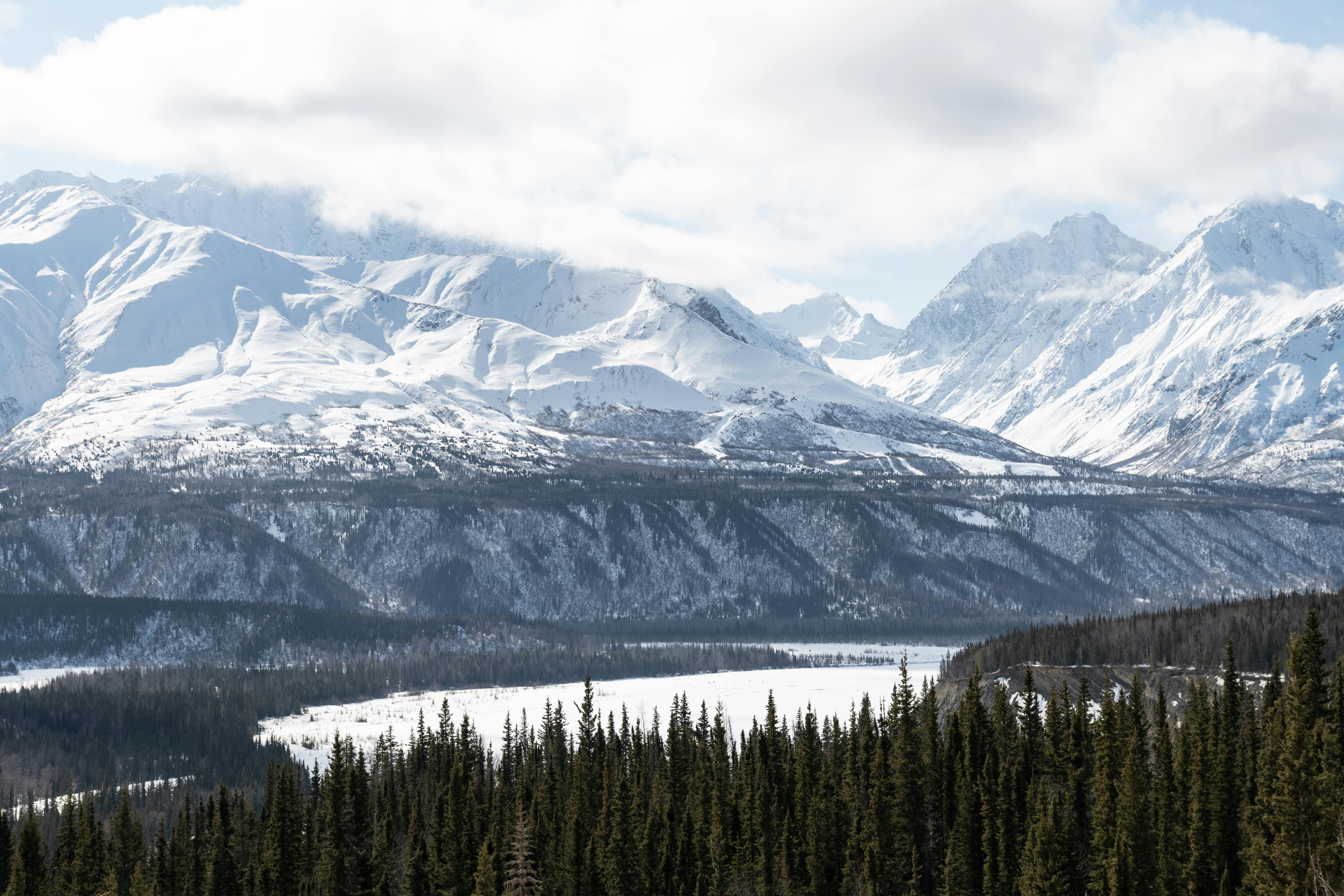 Alaska’s attorney general flew to South Africa and France. A corporate-funded group paid. — Photo by John De Leon on Pexels