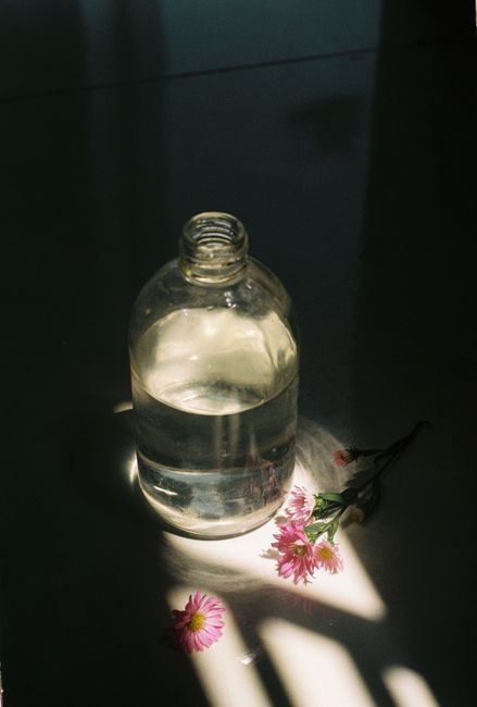 A serene still life of a glass bottle with water and flowers, highlighted by dramatic shadows and sunlight.