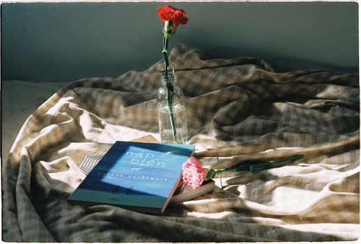 A book and carnation on a textured bed create a warm, cozy interior scene.
