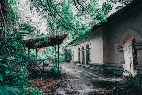 Imagine de stoc gratuită din abandonat, clădire, codru