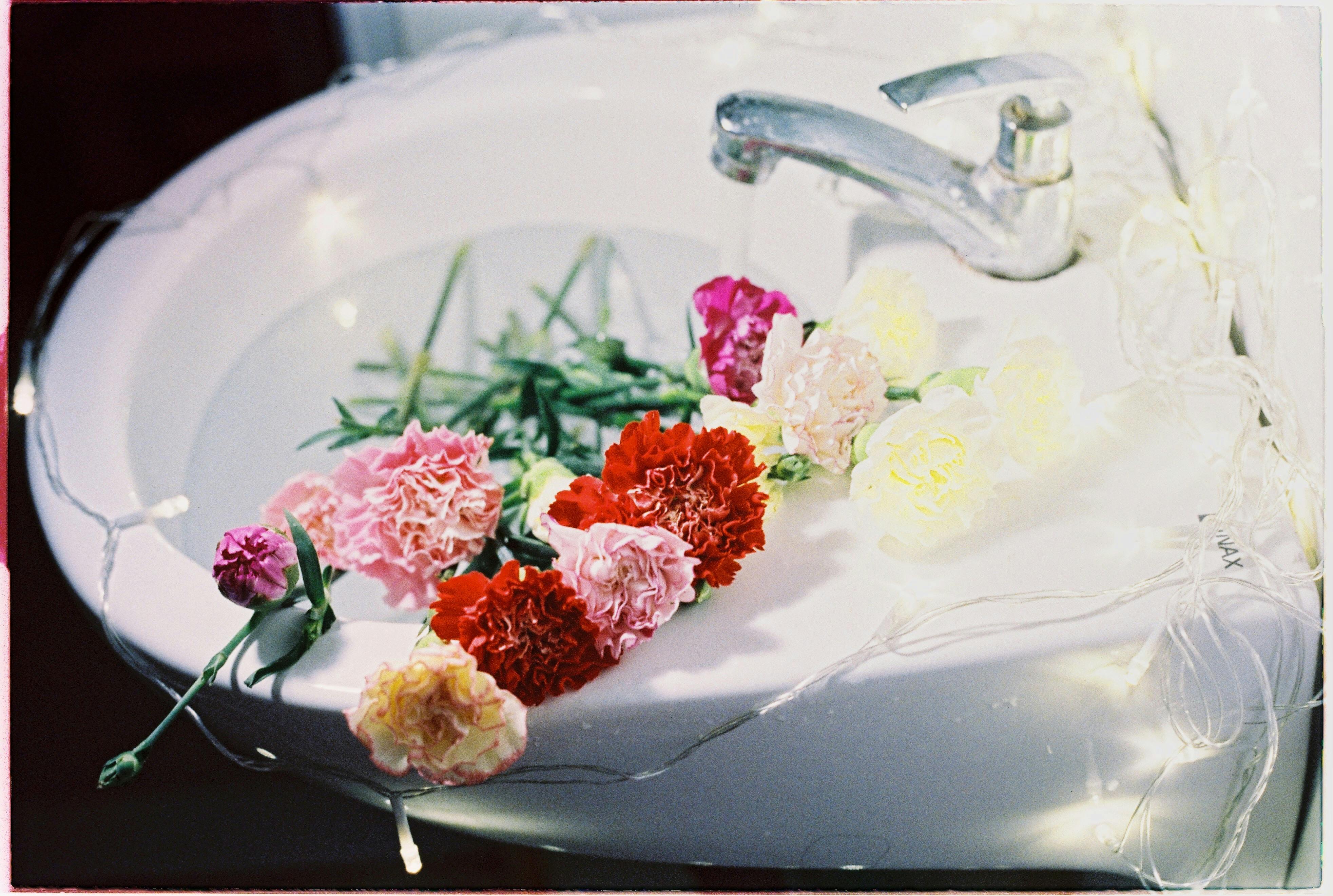 Flowers in Sink with Lights · Free Stock Photo