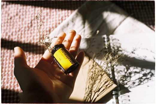 An artistic composition of a hand holding a film roll, accompanied by dried flowers and sunlight.