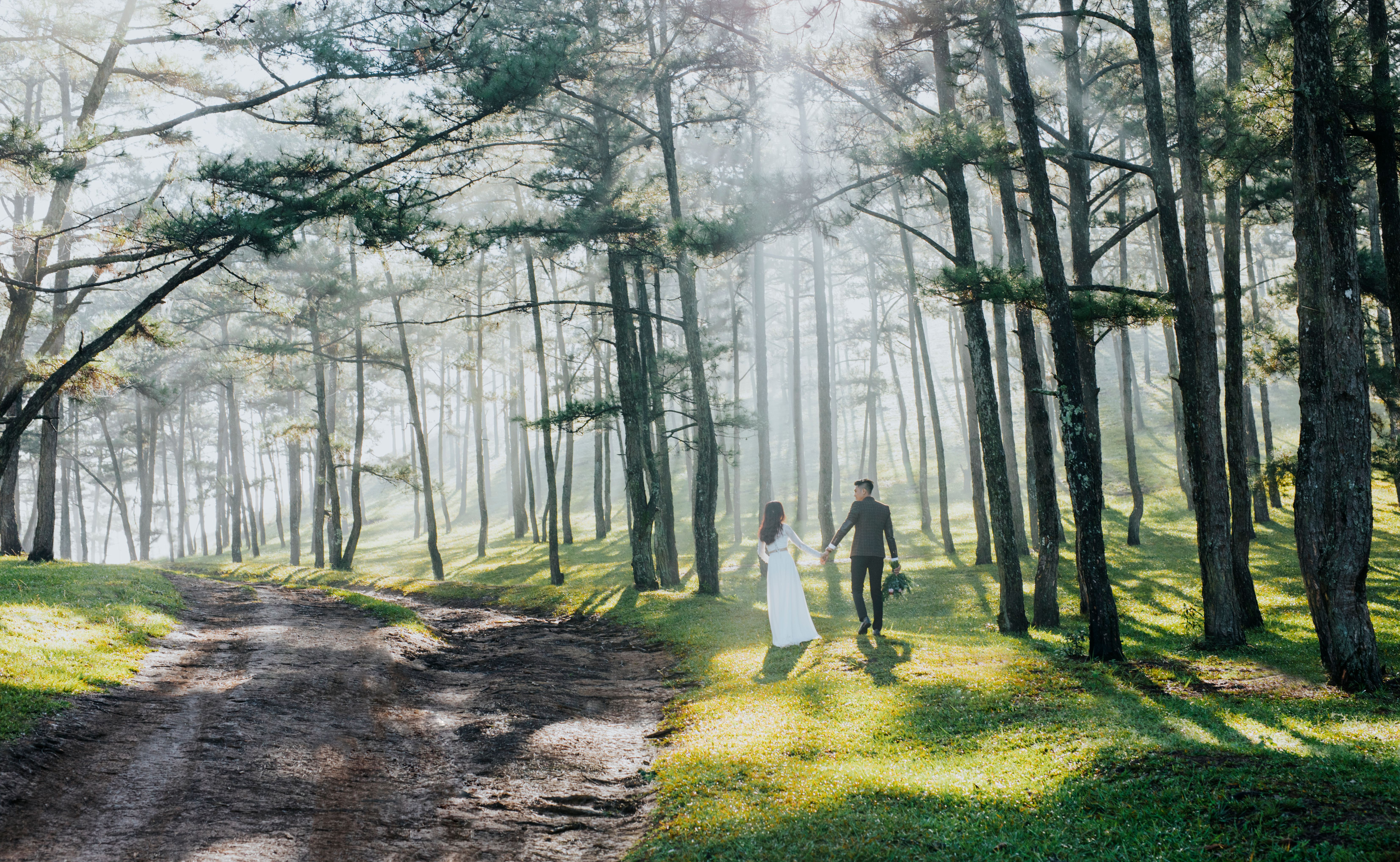 Photo of a Young Couple Walking in the Forest · Free Stock Photo