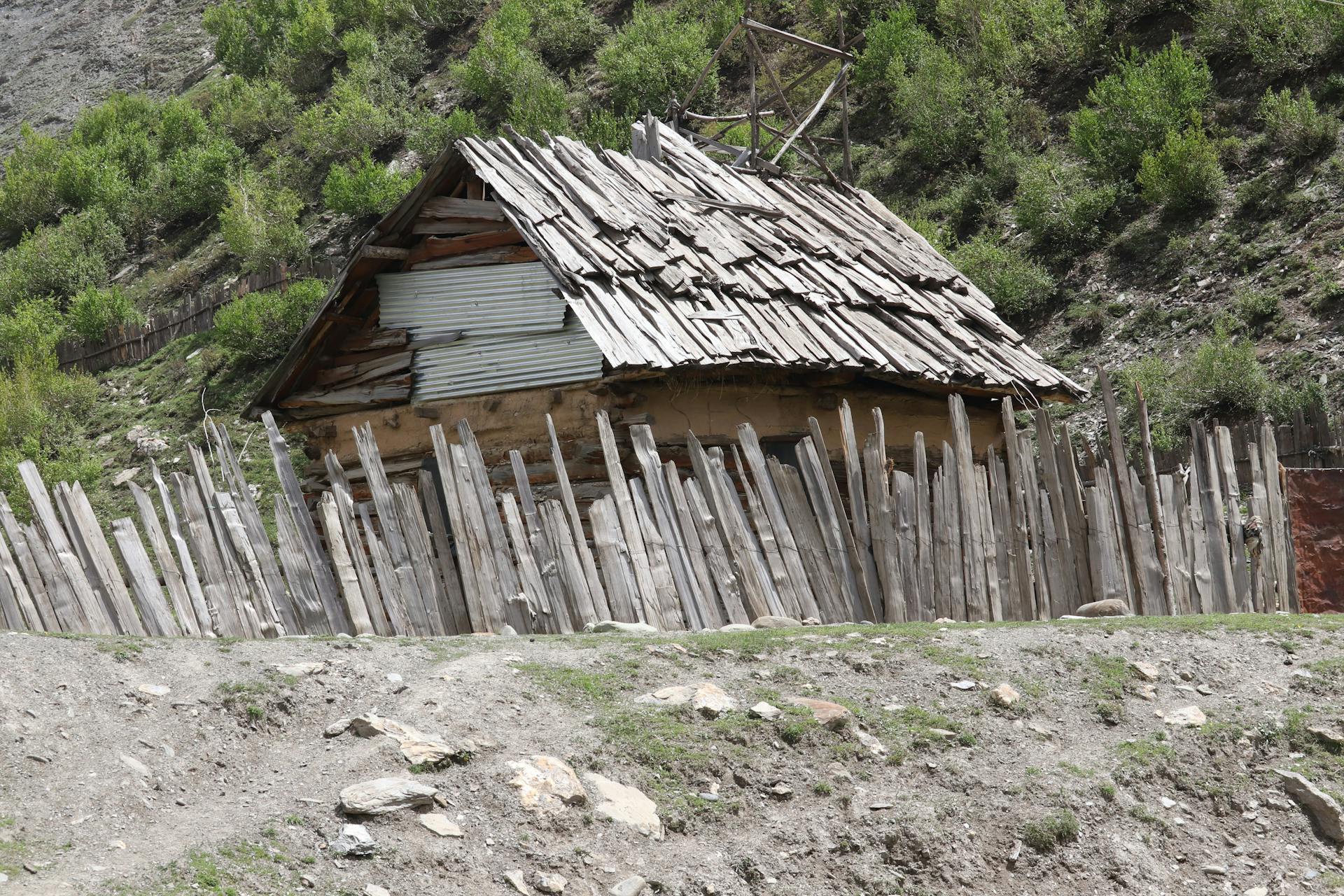 Wooden Fence and Shed