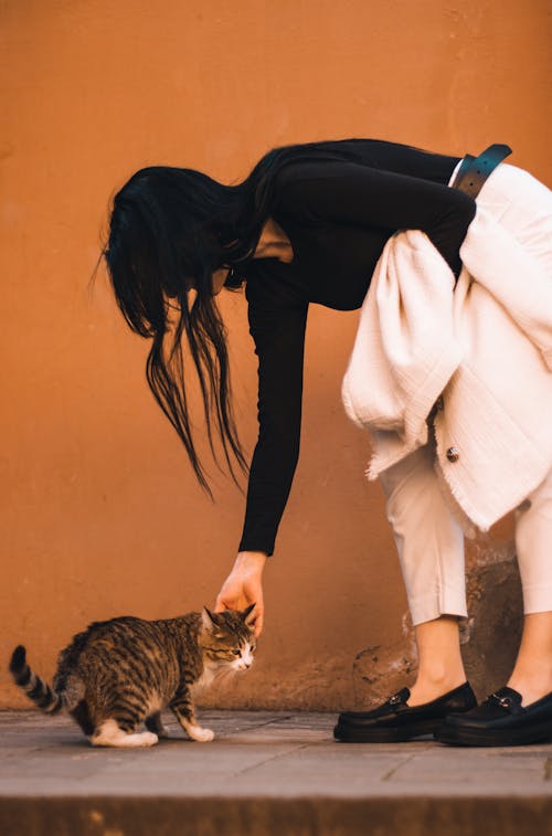 Woman Petting a Cat
