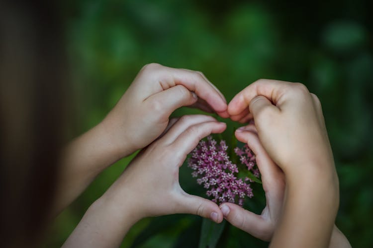 Hands Making Heart Shape Over Flowers