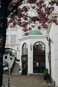 Elegant hotel entrance framed by blooming cherry blossoms in spring, inviting ambiance.