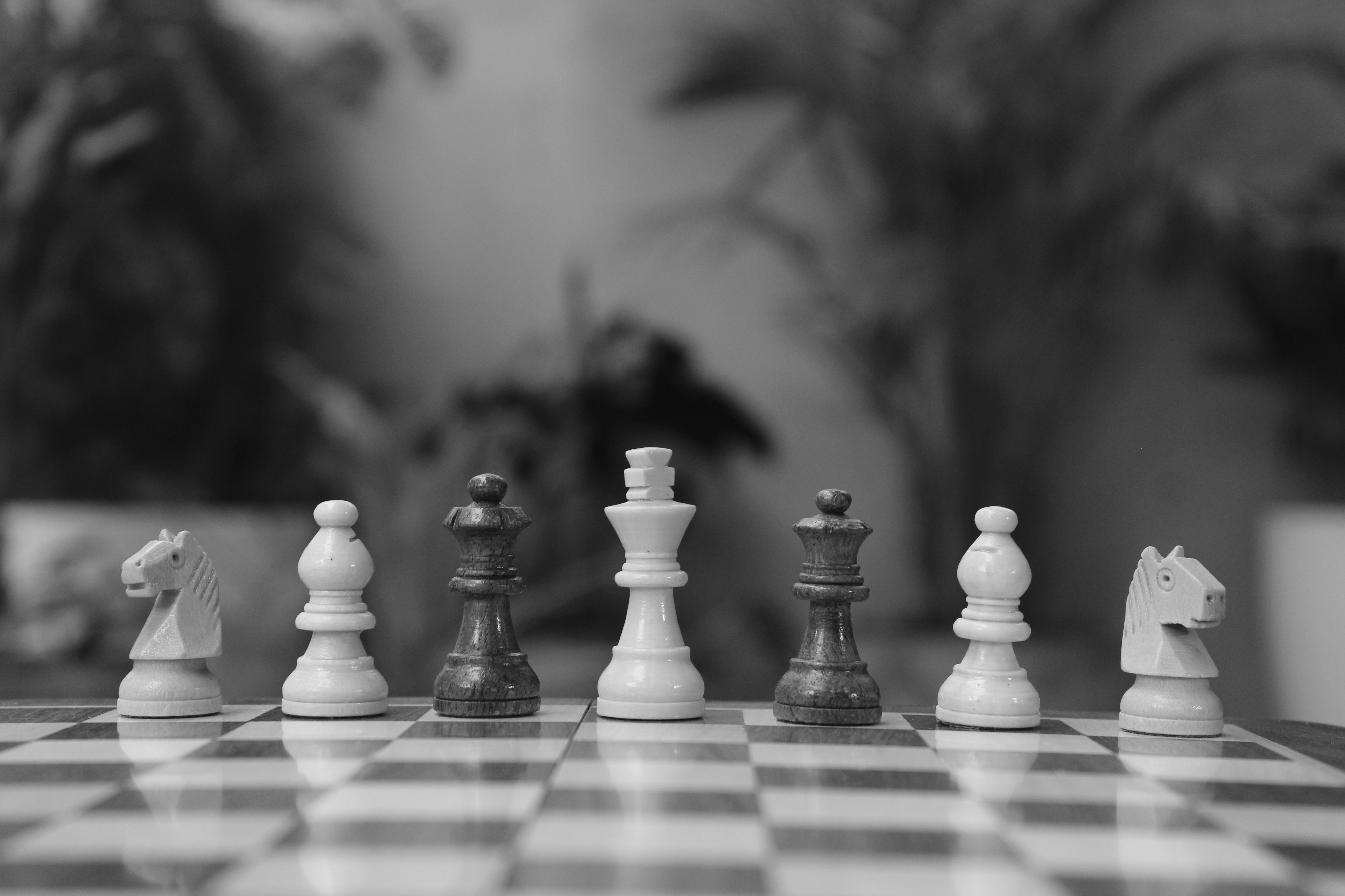 Black and White Photo of Chess Pieces Lined up on Board · Free Stock Photo