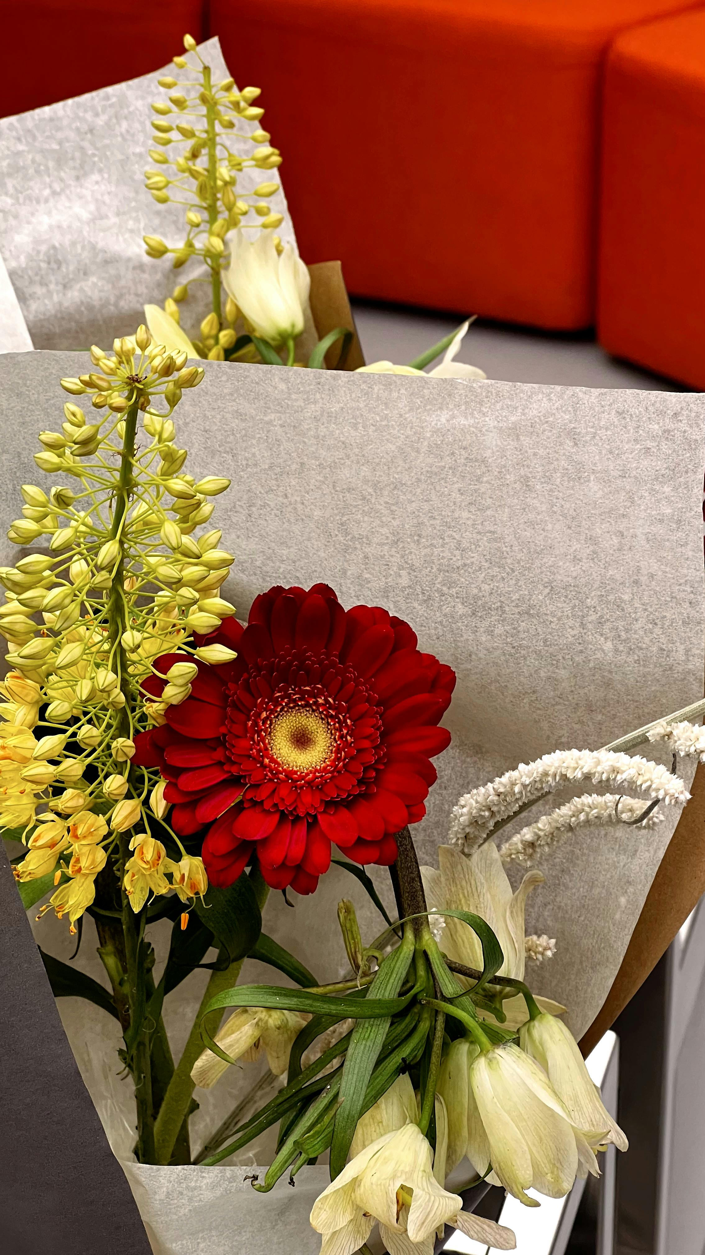 [ColoSach]-a-colorful-floral-bouquet-wrapped-in-grey-paper,-featuring-red-and-yellow-flowers.