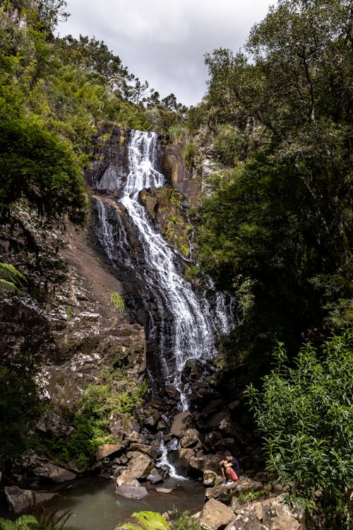 Foto profissional grátis de cachoeira, floresta, homem