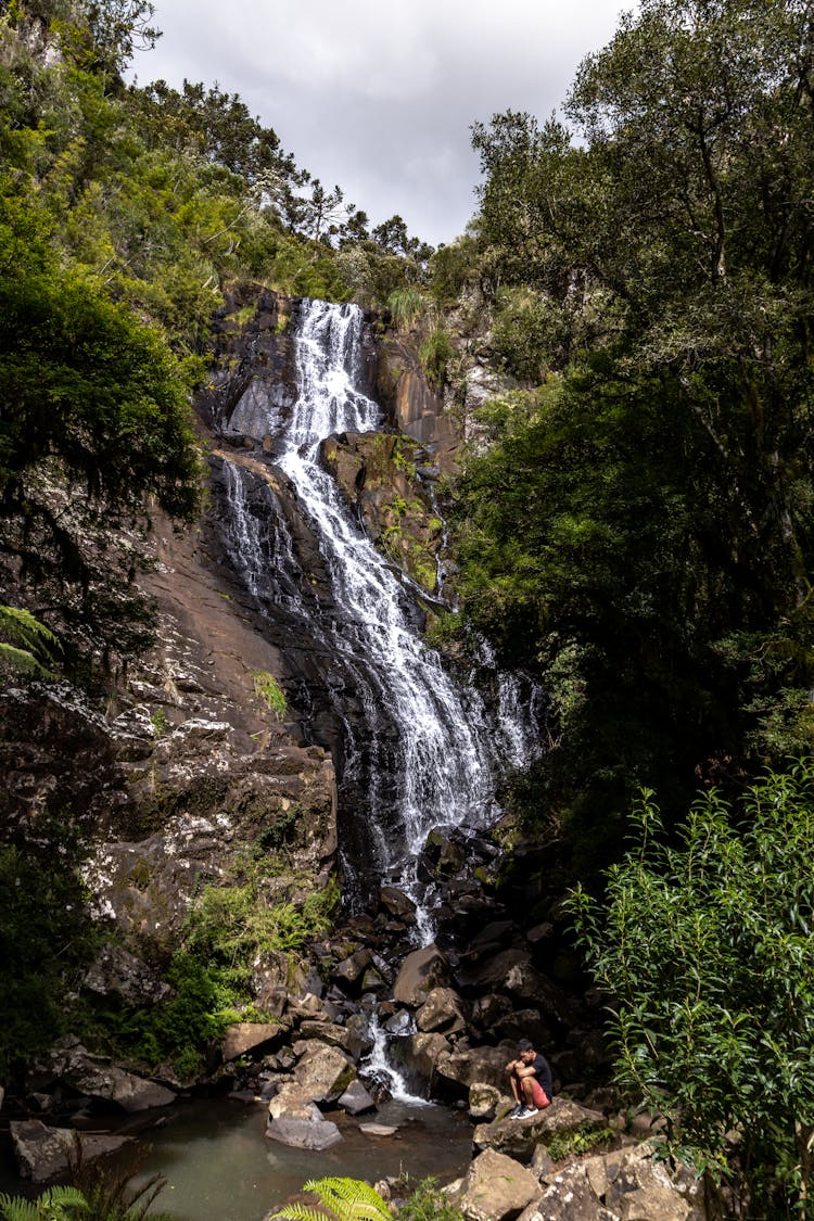 Waterfall In Forest