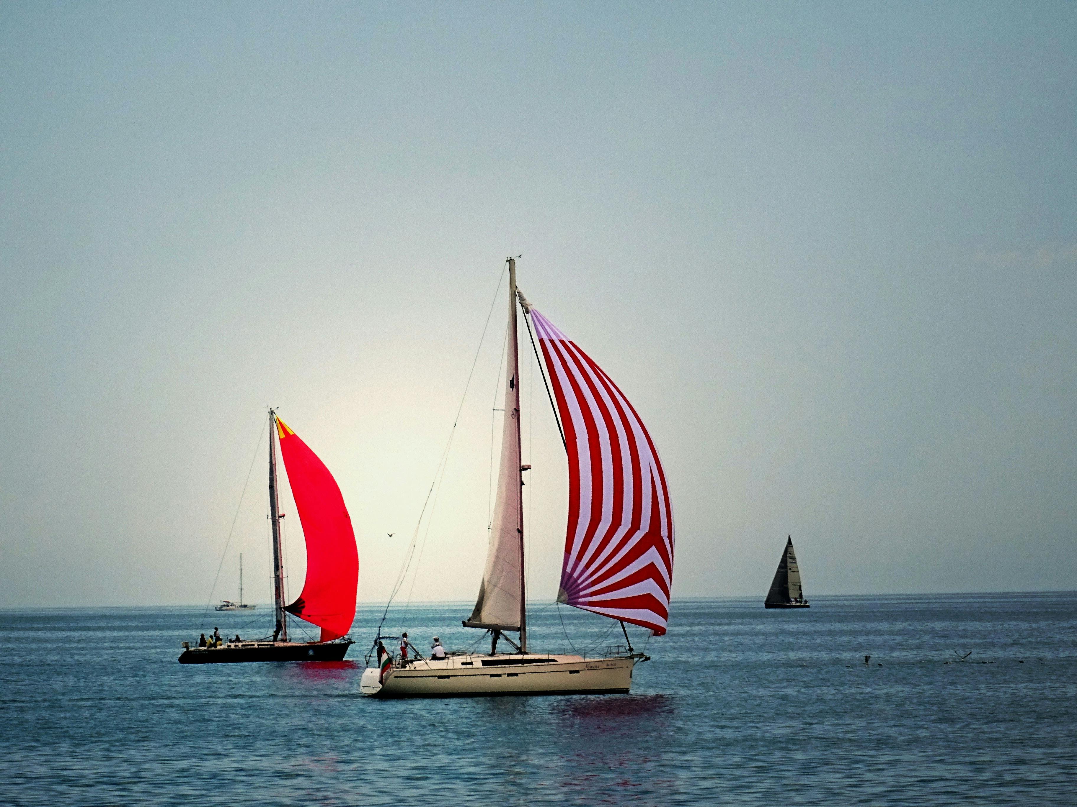 sailboats on water images