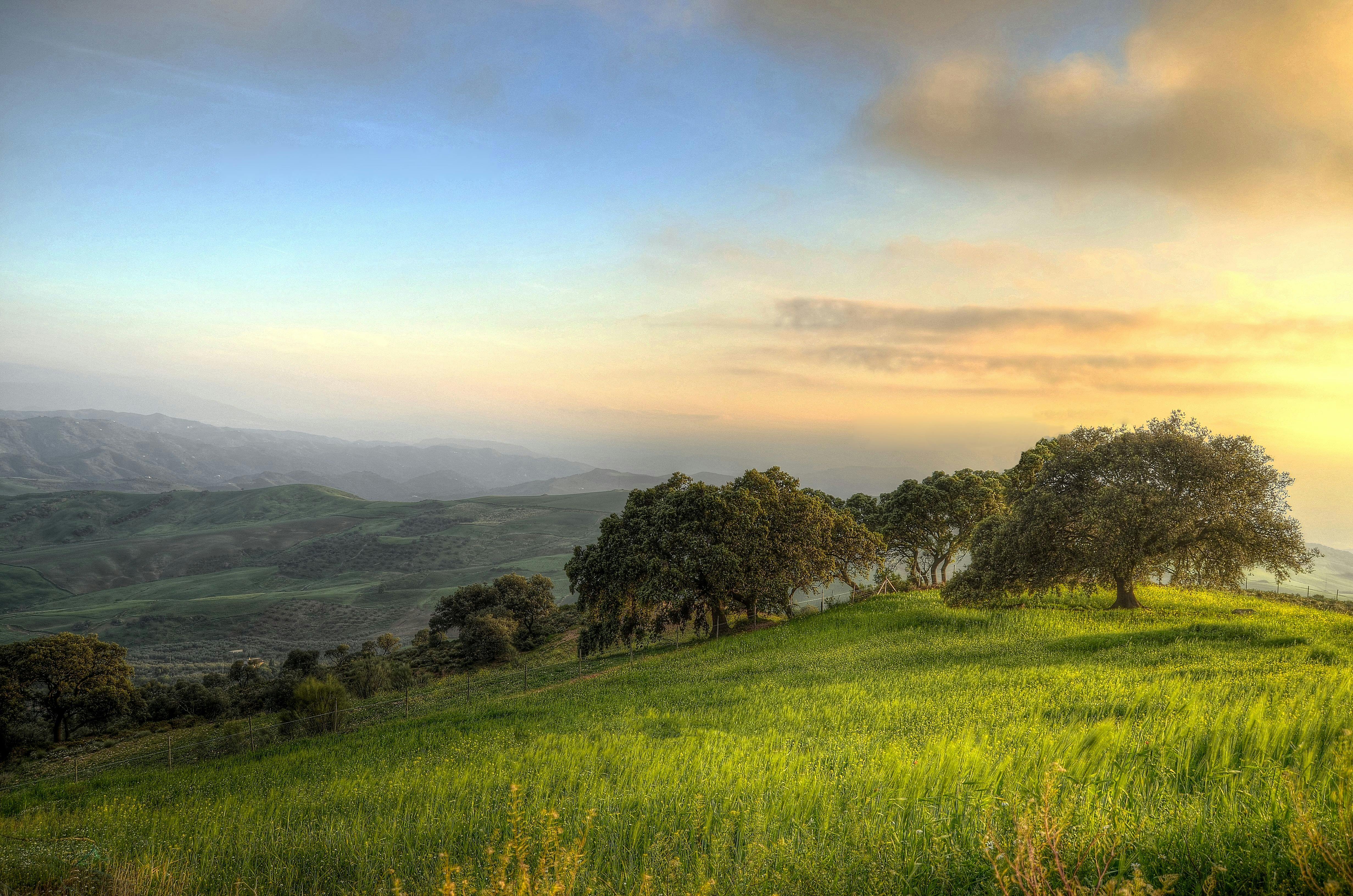 1000+ Amazing Countryside Photos · Pexels · Free Stock Photos