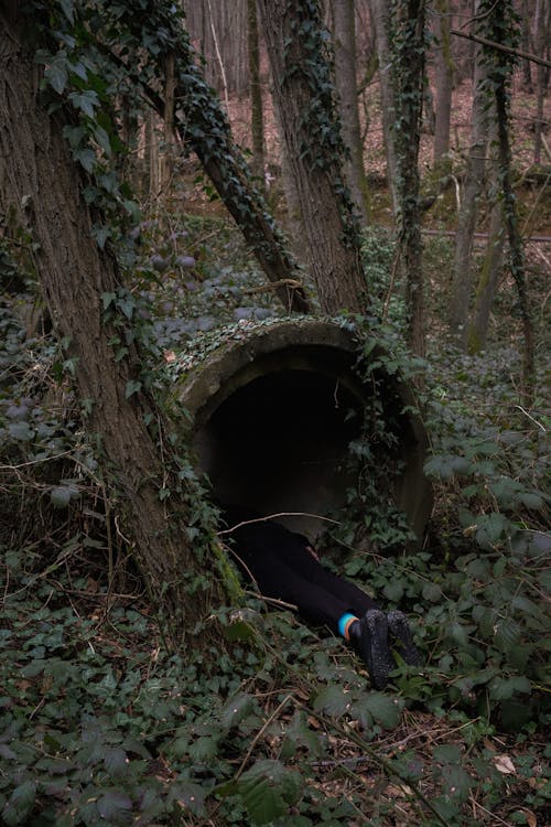Person Lying in Overgrown Concrete Pipe in Forest
