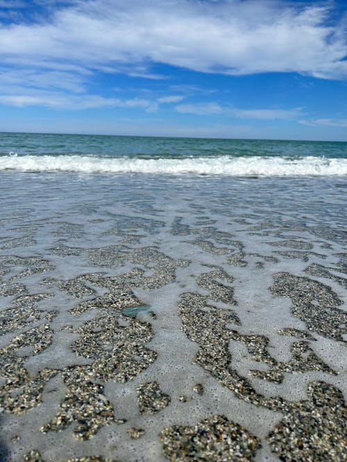 Kostenloses Stock Foto zu blauer himmel, griechische insel, hundegesicht