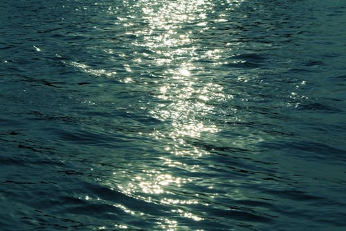 Fotos de stock gratuitas de agua, dice adiós, luz del sol