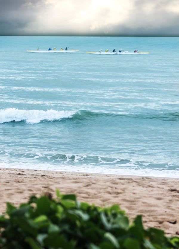 Chakhesang tribe Nagaland Sukrunyi