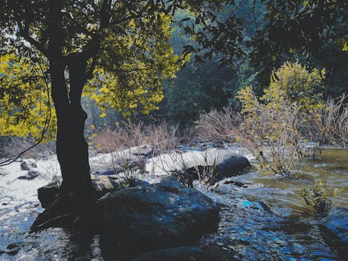 Základová fotografie zdarma na téma denní světlo, kameny, krajina