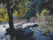 这张白天拍摄的照片展示了一条宁静的冬季河流，蜿蜒流过树木和岩石之间