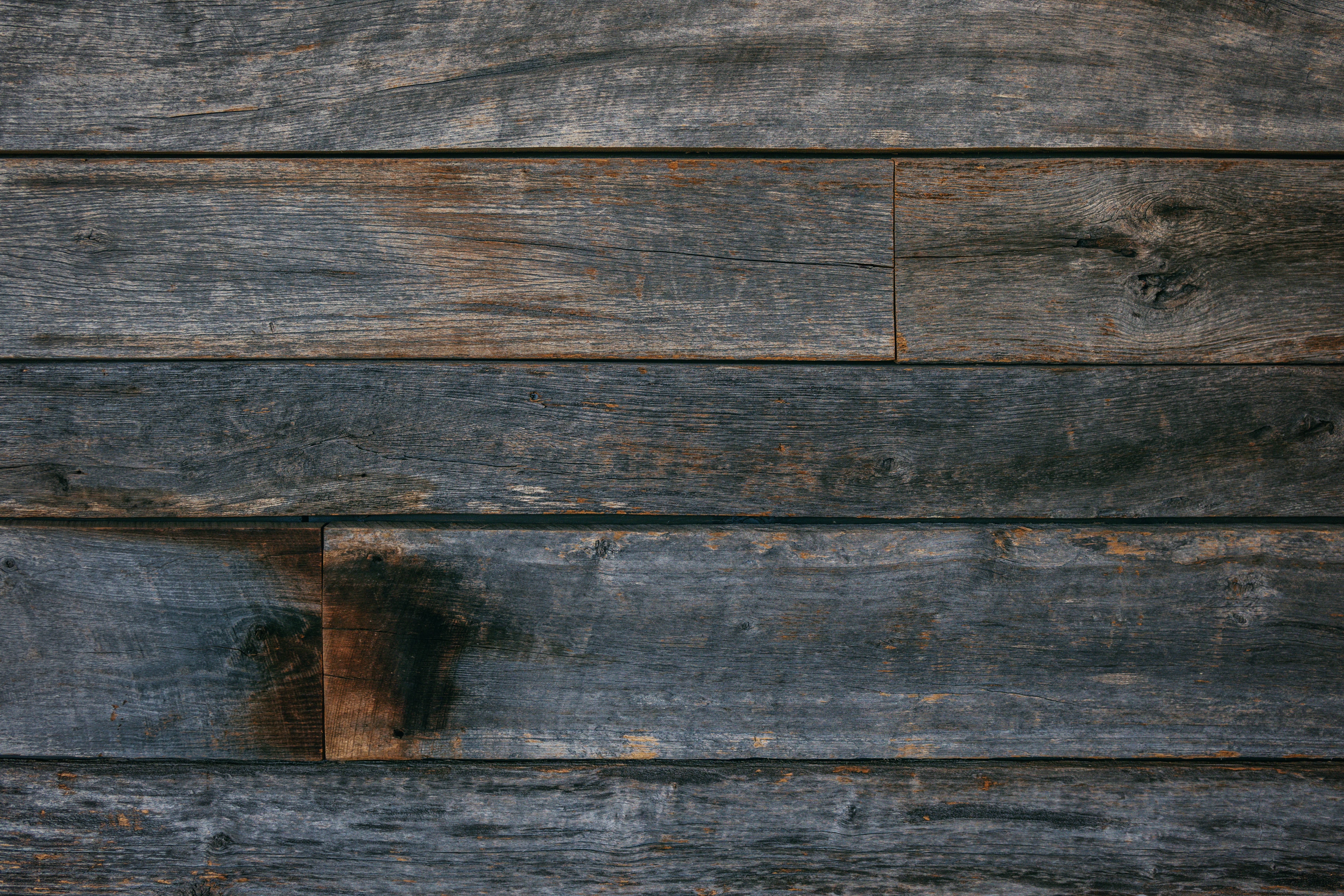 Painters and Decorators in Temple — walls rolled to an even, flat finish
