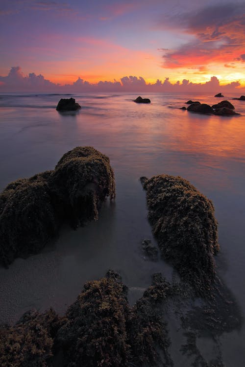 Безкоштовне стокове фото на тему «берег моря, вода, Захід сонця» стокове фото