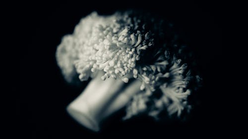 Imagine de stoc gratuită din broccoli, detaliu, fotografie macro