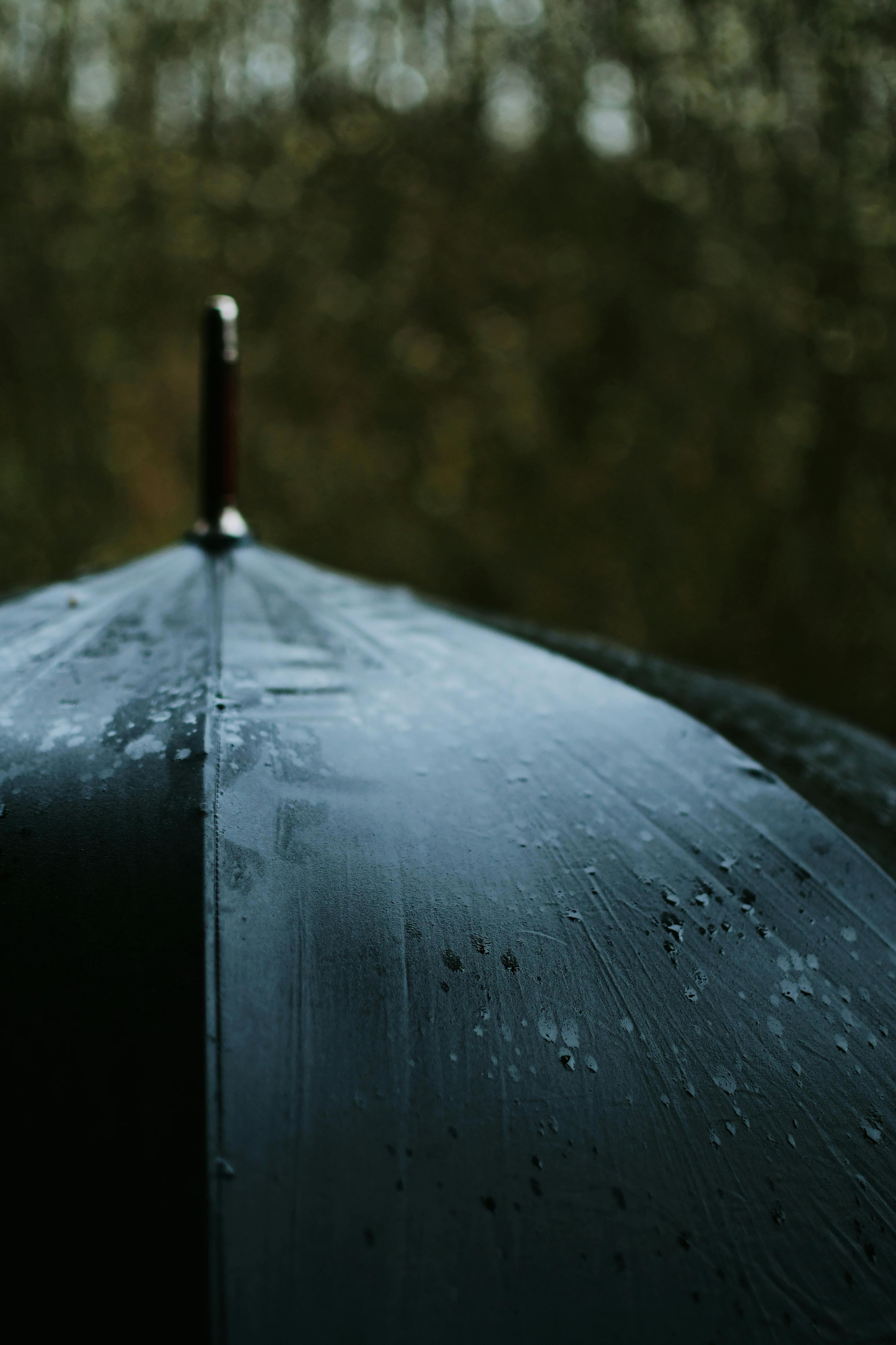 tip bóng đá free → Tip bóng đá miễn phí hôm nay – Tỷ lệ chính xác đến 90%